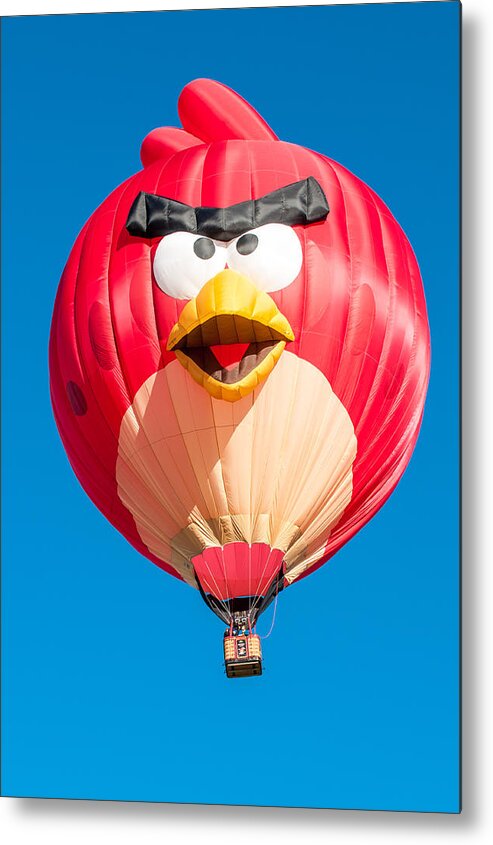 Balloons Metal Print featuring the photograph Albuquerque Balloon Fiesta 11 by Lou Novick