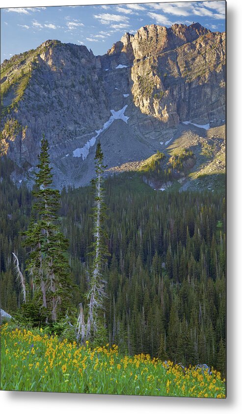 Wasatch Metal Print featuring the photograph Wasatch Mountains of Utah #10 by Douglas Pulsipher
