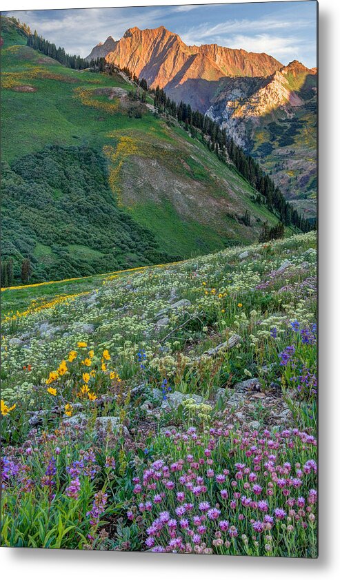Wasatch Metal Print featuring the photograph Wasatch Mountains of Utah #12 by Douglas Pulsipher