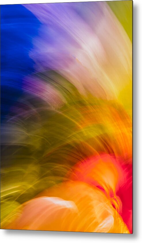 Abstract Flower Metal Print featuring the photograph Summer Bloom by Jon Glaser