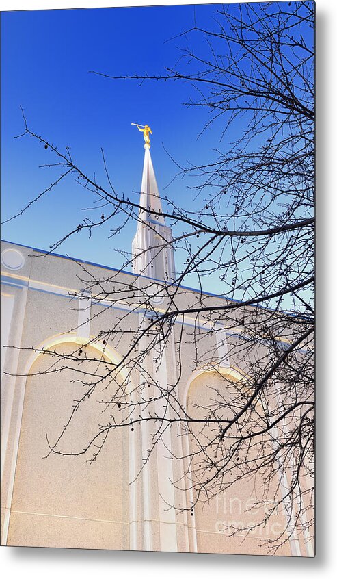 Blue Metal Print featuring the photograph Toronto LDS Mormon Temple #6 by Laurent Lucuix
