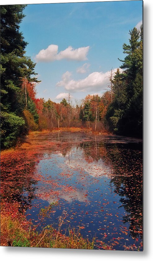 Autumn Metal Print featuring the photograph Autumn Reflections by Joann Vitali