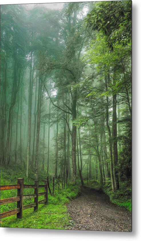 North Carolina Metal Print featuring the painting Blue Ridge - Trees in Fog Country Road II by Dan Carmichael