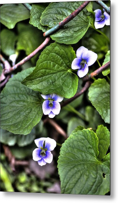 Chain Metal Print featuring the photograph Chain Link Flowers by Deborah Ritch
