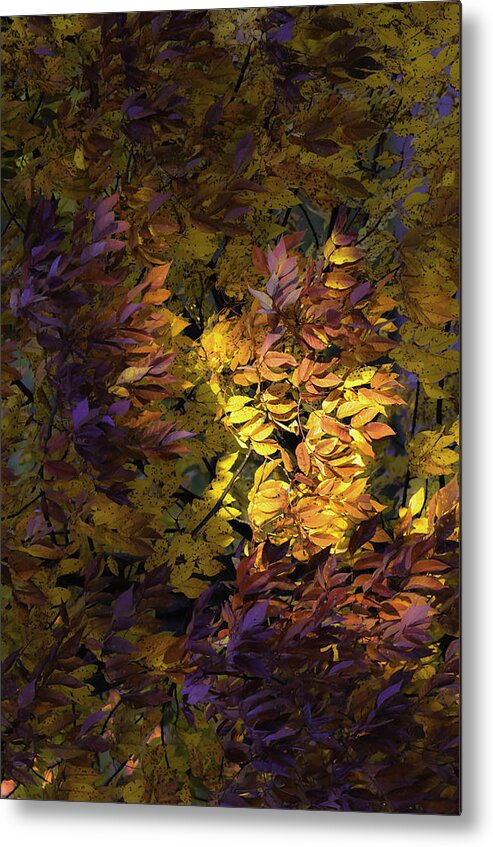 Abstract Metal Print featuring the photograph Color Calls by Wild Fotos
