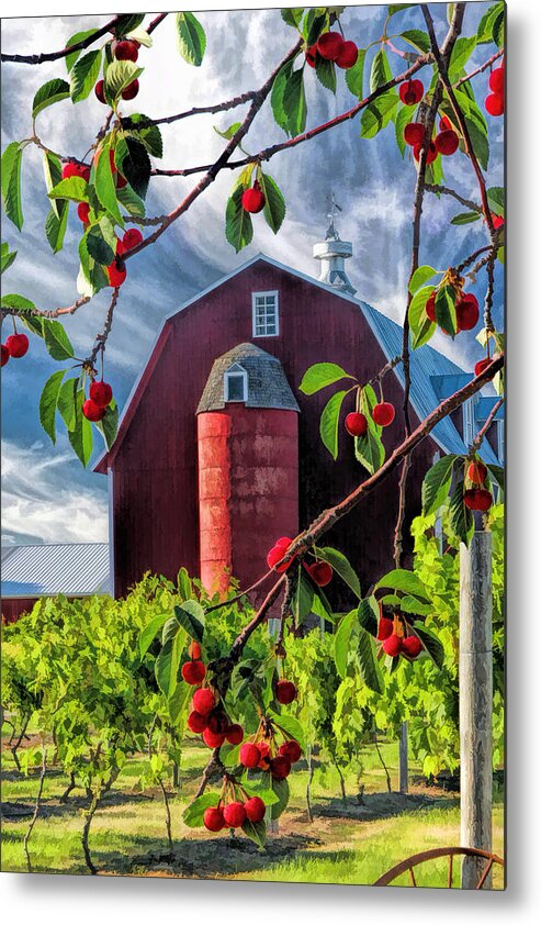 Door County Metal Print featuring the painting Door County Cherry Harvest Red Barn by Christopher Arndt