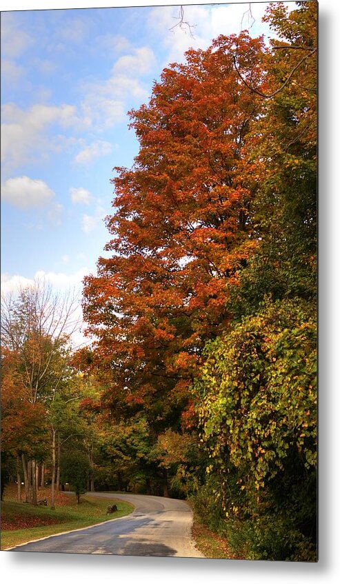 Fall Metal Print featuring the photograph Fall Foliage1 by Deborah Ritch