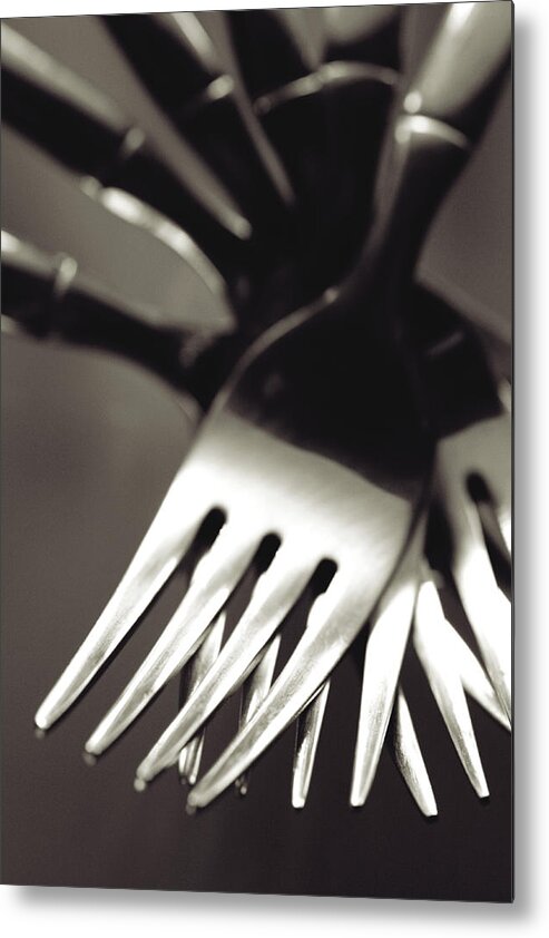 Forks Metal Print featuring the photograph Forks by Matthew Pace