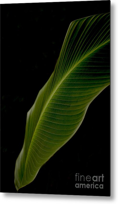Leave Metal Print featuring the digital art Poetry Of Leaf by Leo Symon