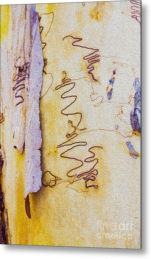 Scribbly Bark Metal Print featuring the photograph Scribbly gum bark by Sheila Smart Fine Art Photography