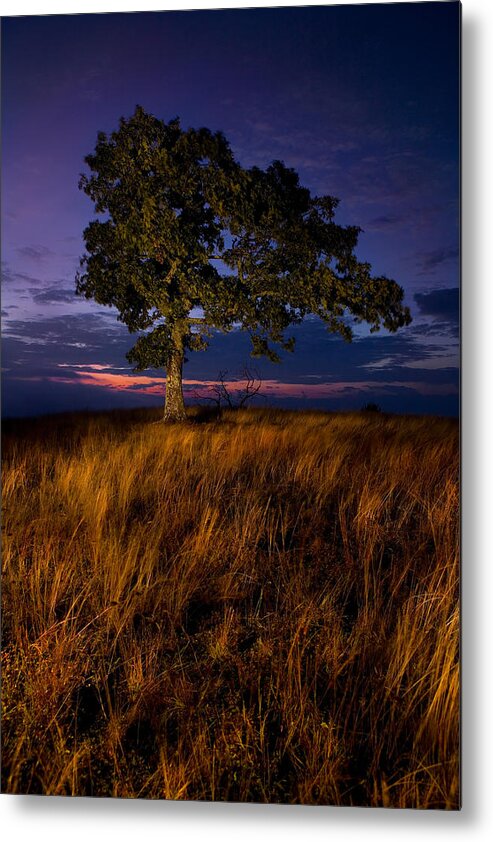 Blue Ridge Parkway Metal Print featuring the photograph Summer Sunrise on the Blue Ridge Parkway I by Dan Carmichael
