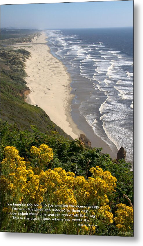 Heceta Beach Metal Print featuring the photograph Heceta Beach View by Mick Anderson