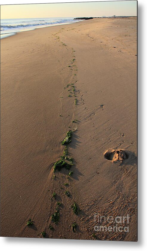 Landscape Metal Print featuring the photograph Path to Eden by Everett Houser