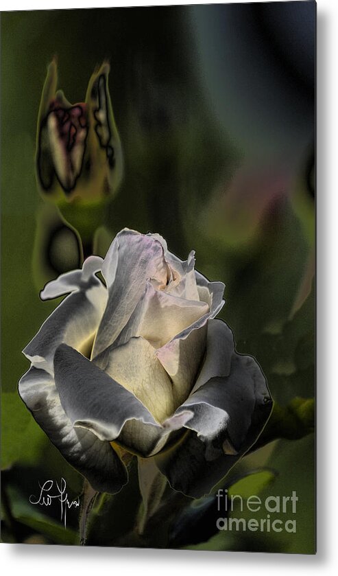Sin Metal Print featuring the photograph Sinful Rose by Leo Symon