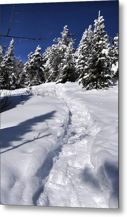 Winter Metal Print featuring the photograph Snowshoe trail by Peter DeFina