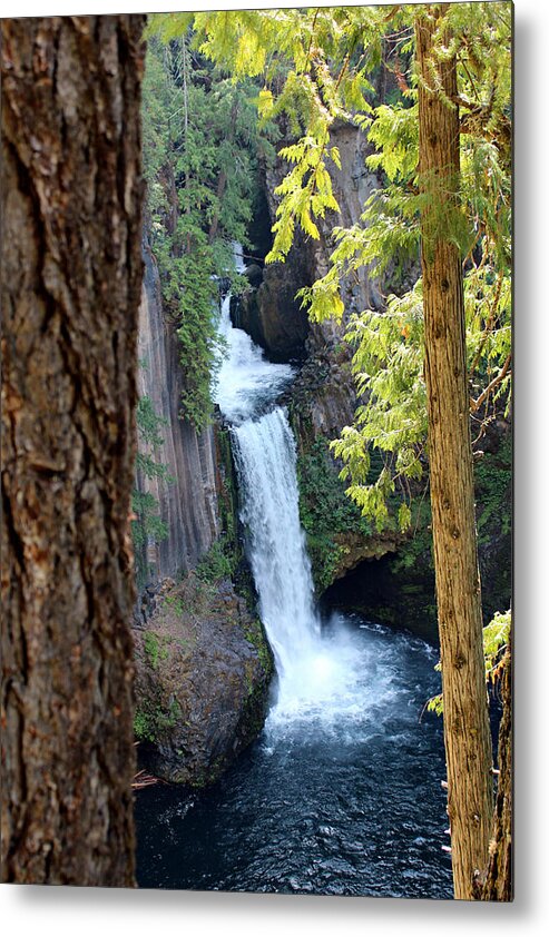 Waterfall Metal Print featuring the photograph Toketee Falls by Jo Sheehan