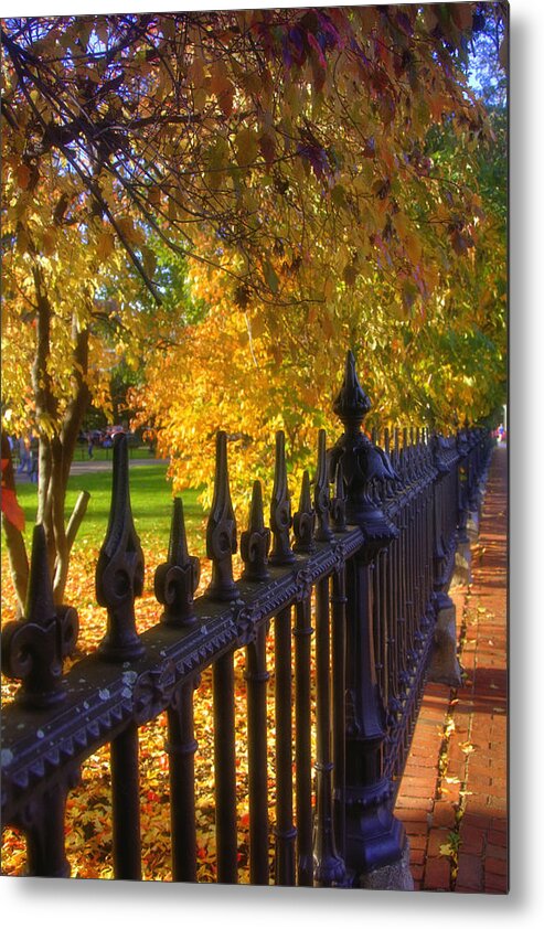 Oston Public Gardens Metal Print featuring the photograph Touched by Autumn by Joann Vitali