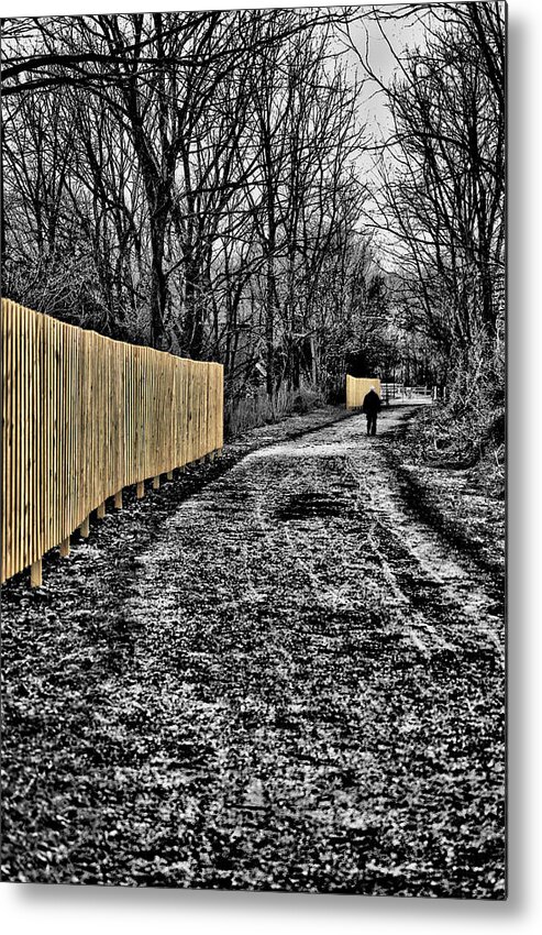 Saucon Trail; Trail; Hiking; Walking; Pennsylvania; Footpath; Path; Walker; Hiker; Stroller; Trekker; Exercise; Keep Fit; Cardiovascular; Voyager; Tourist; Vacationer; Pioneer; Yellow; Fence; Barrier; Boundary; Enclosure; Marker; Restrict; Confine; Surround; Shut In; Wall; Block; Obstacle; Obstruction; Privacy; Confidentiality; Concealment; Solitude; Seclusion; Isolation; Retreat; Fencing; Wood; Fence; Wooden; Panels; Post; Gate; Outdoor; Trees; Leaves; Grass; Foliage; Bushes; Sky; Landscape Metal Print featuring the photograph Yellow Fences on the Saucon Trail by D L McDowell-Hiss