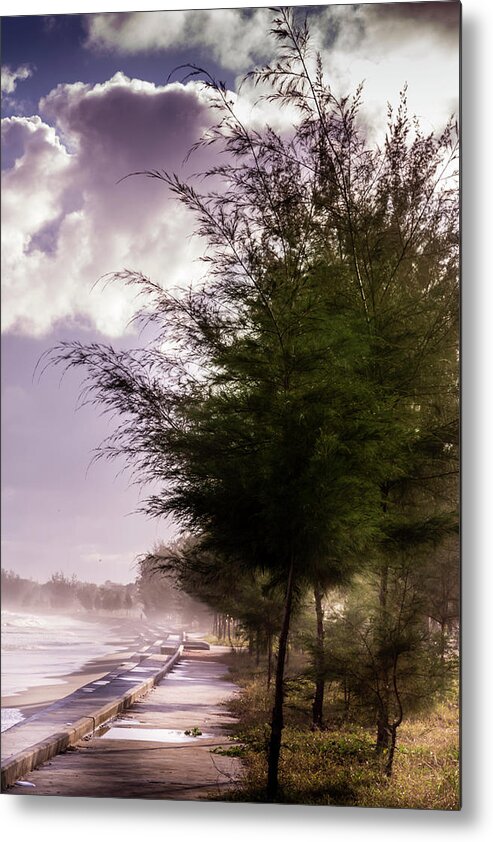 Coast Metal Print featuring the photograph After the Storm by Georgia Clare