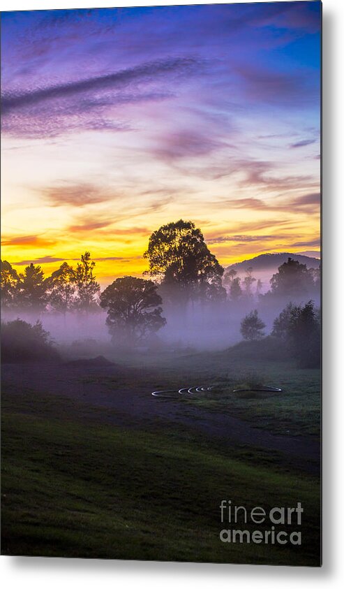 Paddockmorning Mist Metal Print featuring the photograph Early morning mist by Sheila Smart Fine Art Photography