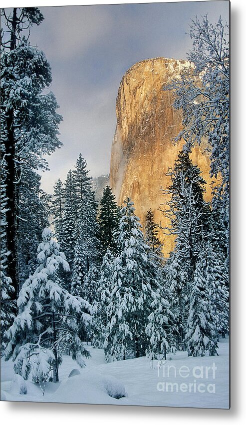 North America Metal Print featuring the photograph El Capitan on a Winter Morning Yosemite National Park California by Dave Welling