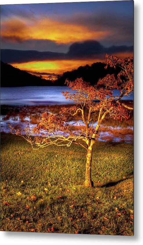 Blue Ridge Parkway Metal Print featuring the photograph Fall Colors at Sunrise in Otter Blue Ridge by Dan Carmichael