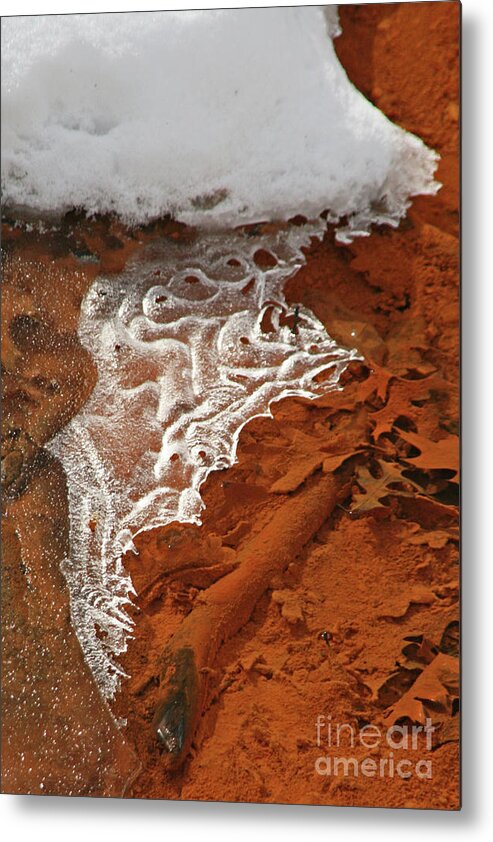 Ice Metal Print featuring the photograph Lacy Ice by Tiffany Whisler