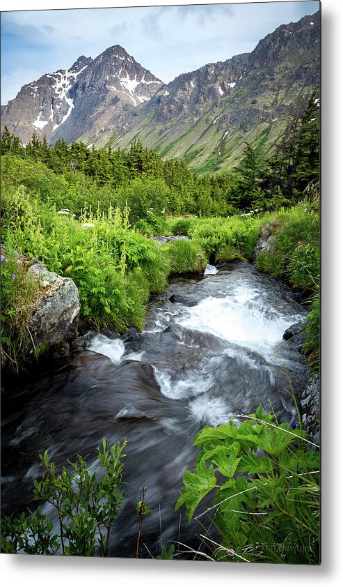 Alaska Metal Print featuring the photograph Mountain Creek in Early Summer by Tim Newton