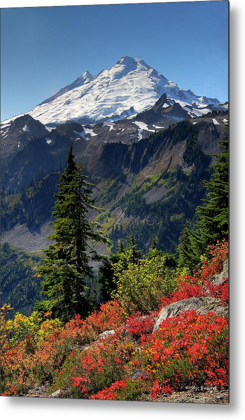 Mountain Metal Print featuring the photograph Mt. Baker Autumn by Winston Rockwell