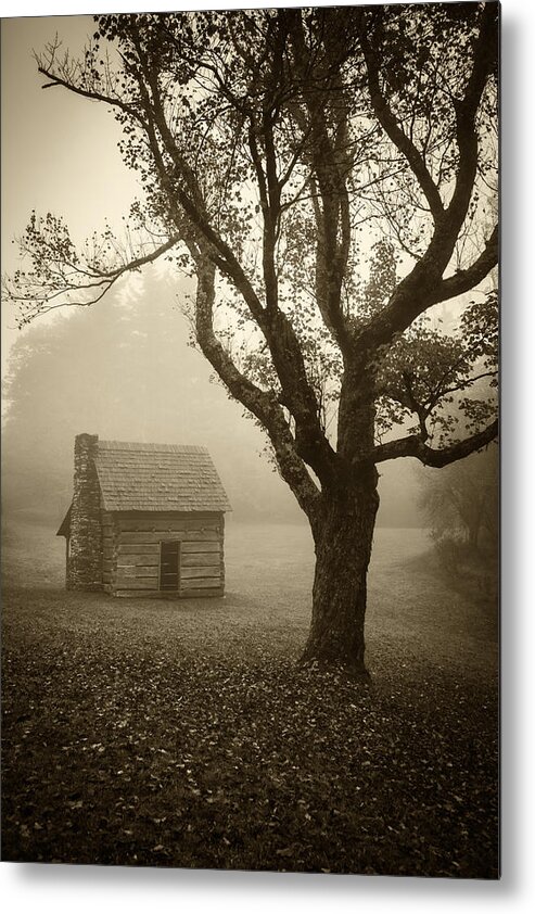 Landscape Metal Print featuring the photograph Paw's Cabin-sepia by Joye Ardyn Durham