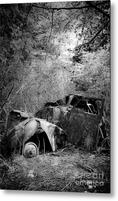 Old Metal Print featuring the photograph Reclamation by David Hillier