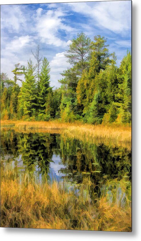 Door County Metal Print featuring the painting Ridges Sanctuary Reflections by Christopher Arndt