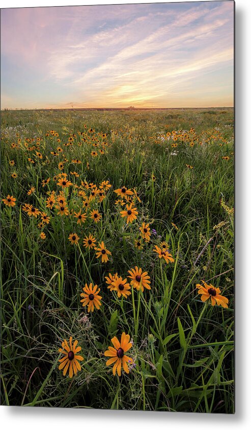 America Metal Print featuring the photograph Wildflowers by Scott Bean