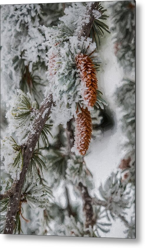 Architectural Photographer Metal Print featuring the photograph Winter Pine Cones by Lou Novick