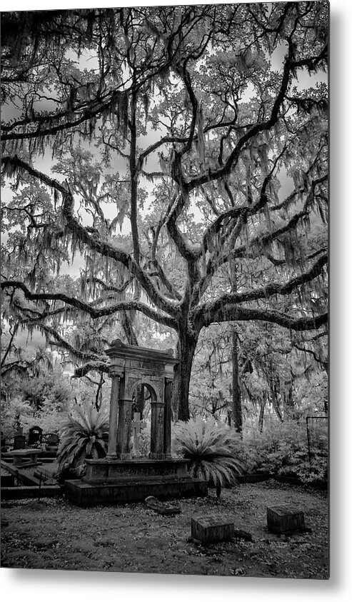 Cemetary Metal Print featuring the photograph Oak Cemetary II #1 by Jon Glaser