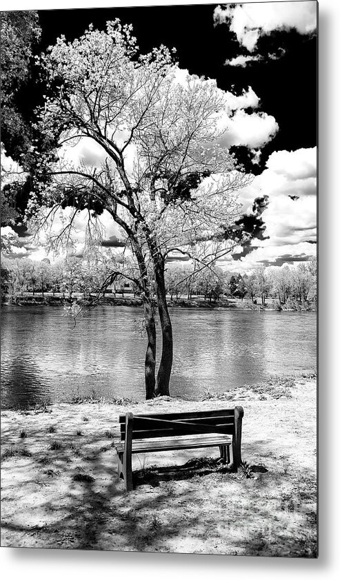 Along The River Metal Print featuring the photograph Along the River at Washington Crossing in New Jersey by John Rizzuto