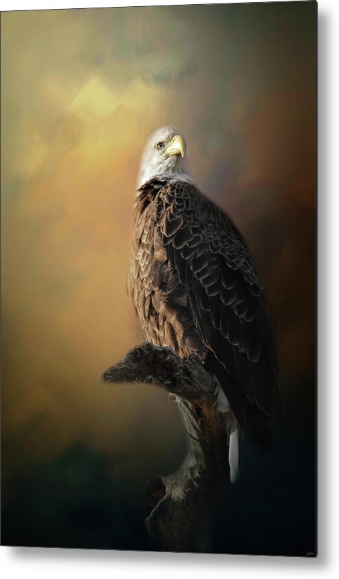 Bald Eagle Metal Print featuring the photograph Eagle On The Levy by Jai Johnson