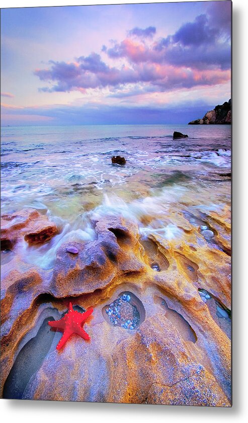 Starfish Metal Print featuring the photograph Starfish by Giovanni Allievi