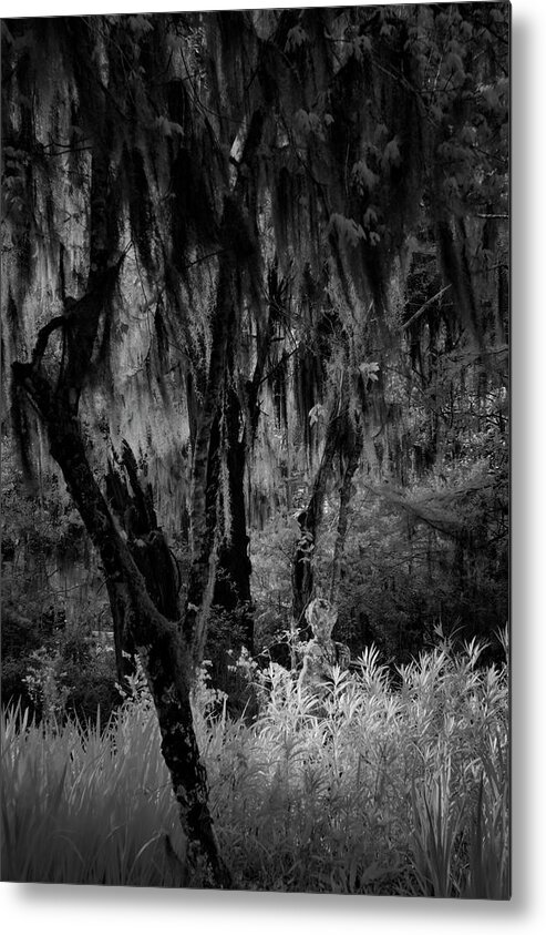 Black And White Metal Print featuring the photograph Statue in the Grass by Jon Glaser