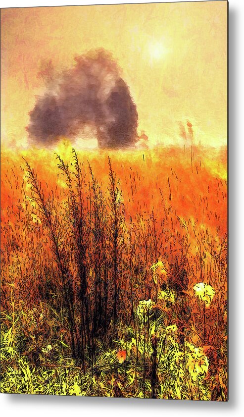 North Carolina Metal Print featuring the painting Golden Grasses ap by Dan Carmichael