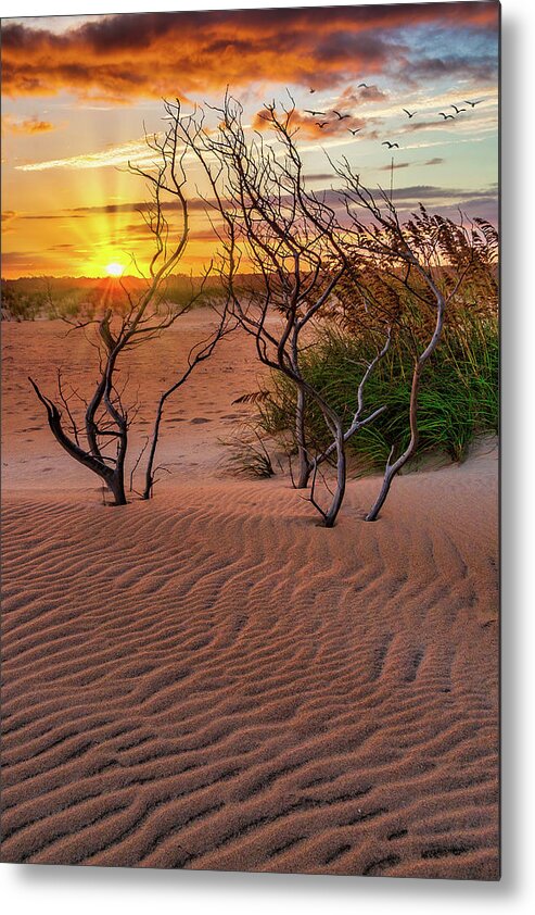 Beach Metal Print featuring the photograph Outer Banks Hatteras Beach Sunset by Dan Carmichael