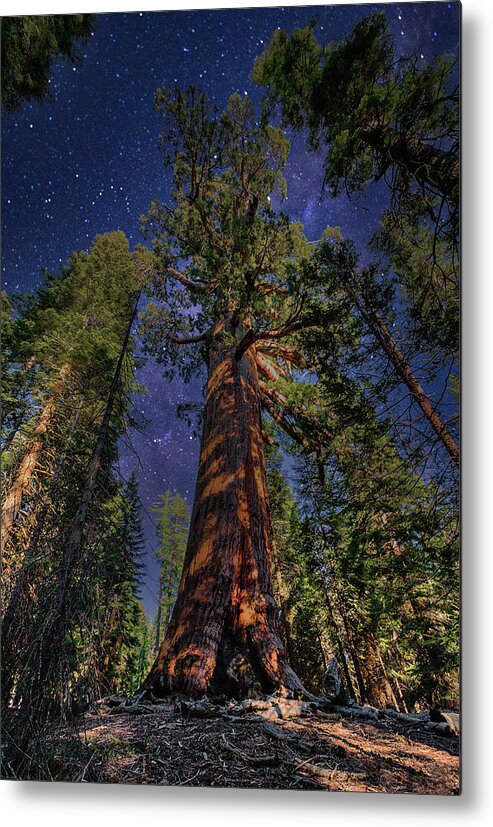 California Metal Print featuring the photograph Serenity by Moonlight by Dan Carmichael