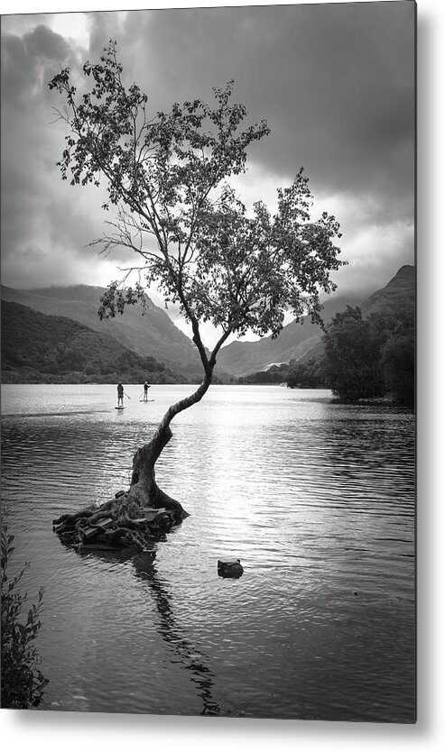 Padarn Metal Print featuring the photograph The lonely tree by Gary Browne