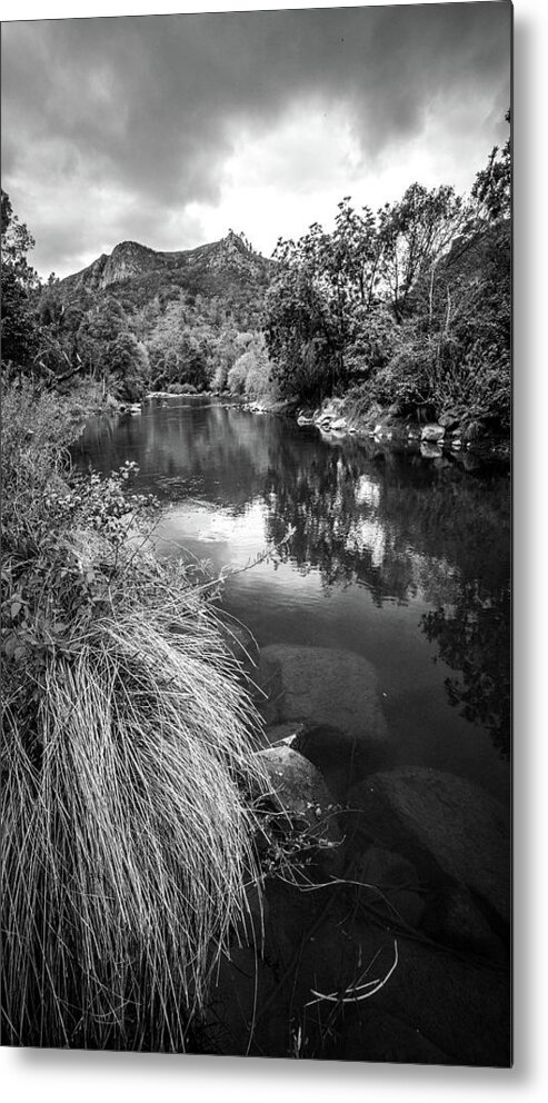 Brook Metal Print featuring the photograph Putah Creek solano county, california by Mike Fusaro