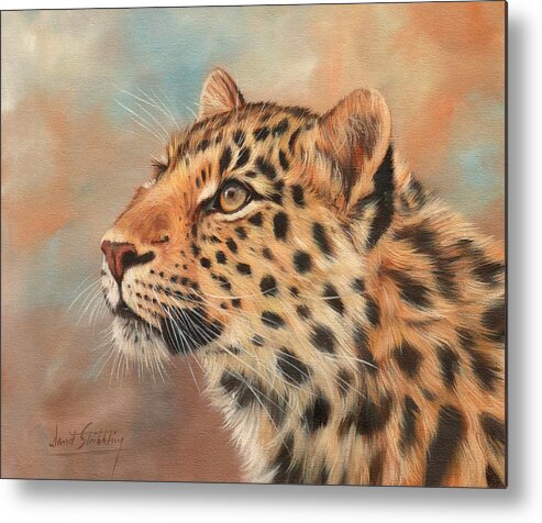 Leopard Metal Print featuring the painting Amur Leopard #1 by David Stribbling