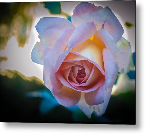 Rose Metal Print featuring the photograph Autumn Rose by GeeLeesa Productions