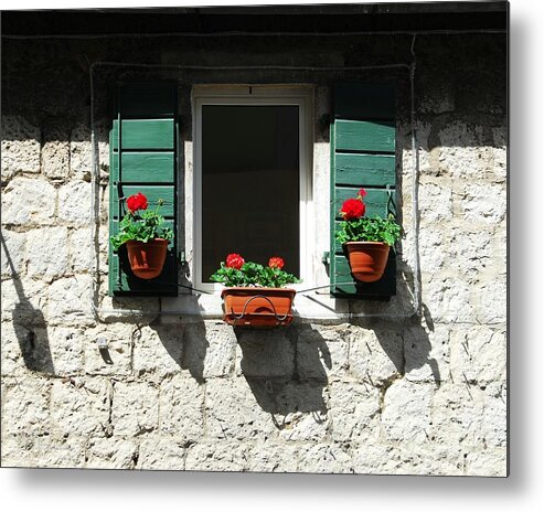 Flower Pot Shadows Metal Print featuring the photograph Flower Pot Shadows by Mel Steinhauer