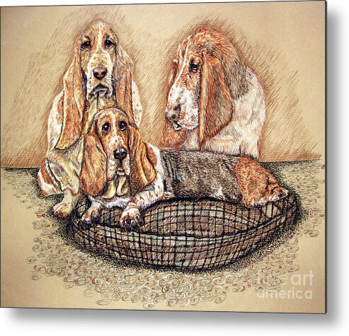 Basset Hound Metal Print featuring the drawing Hess'er Puppies by Linda Simon