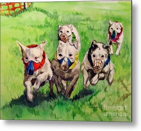 Jack Russell Metal Print featuring the painting Jack Russells Racing #1 by Carole Powell