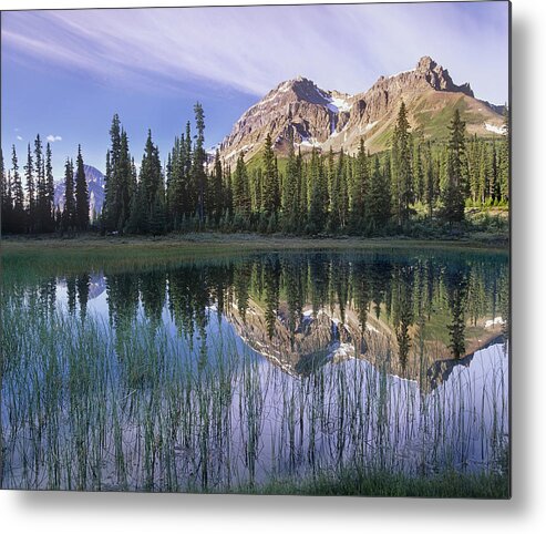 Feb0514 Metal Print featuring the photograph Mt Jimmy Simpson Reflection Banff #1 by Tim Fitzharris